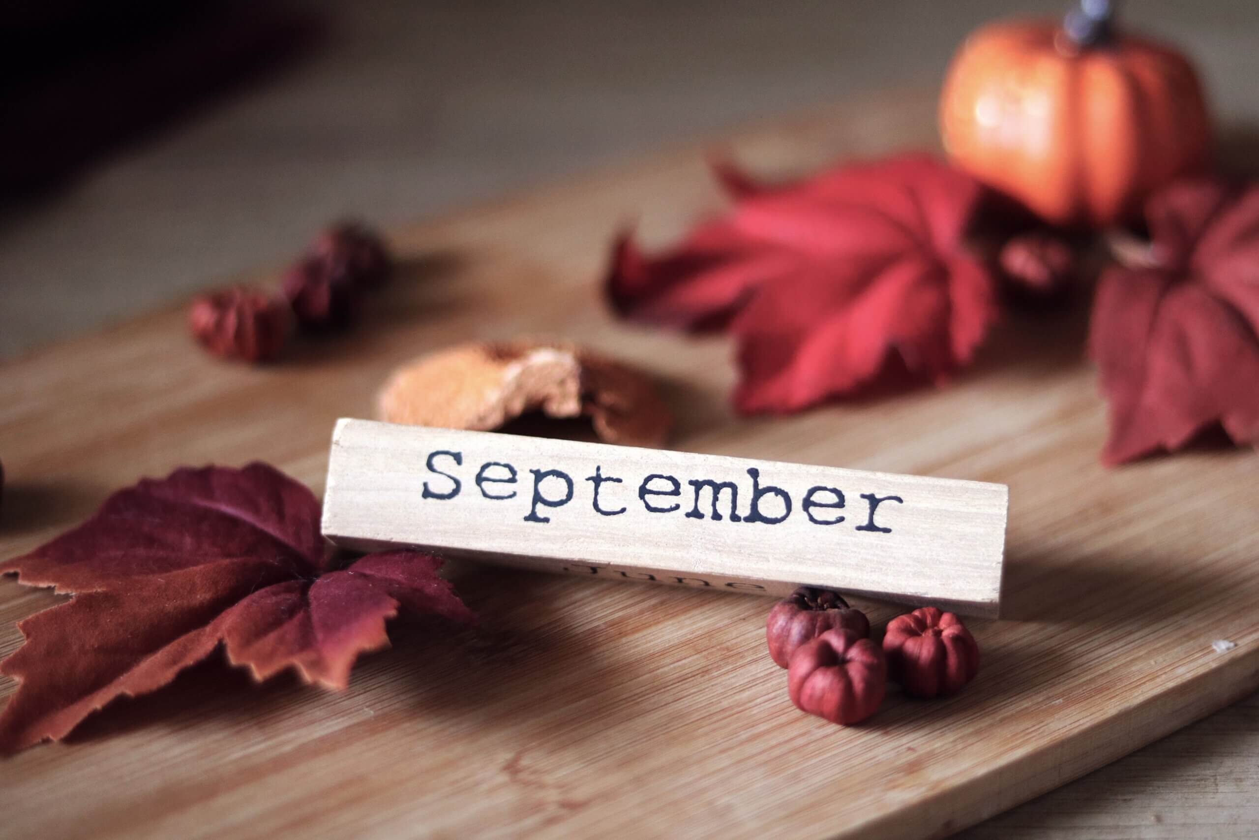 OBI & OTRADI September 2026 Newsletter